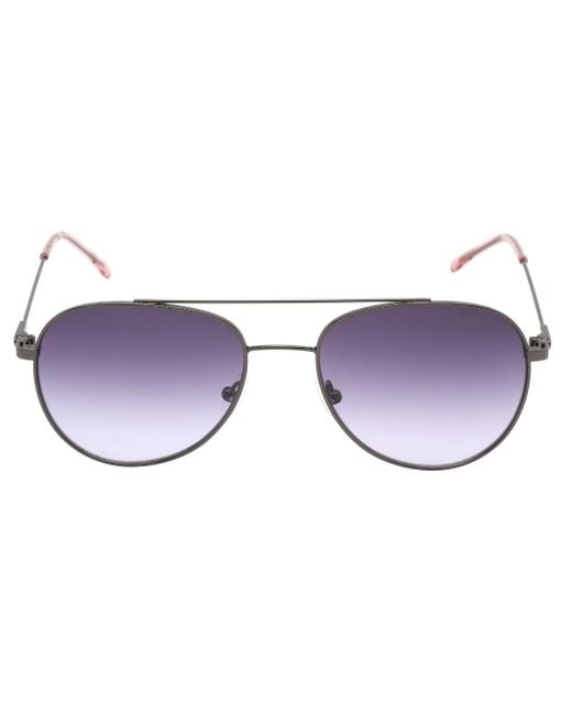 Calvin Klein Purple Gradient Lens Gunmetal Dark Sunglasses