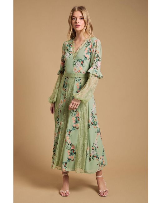 Oasis Green Lace Panel Midi Dress