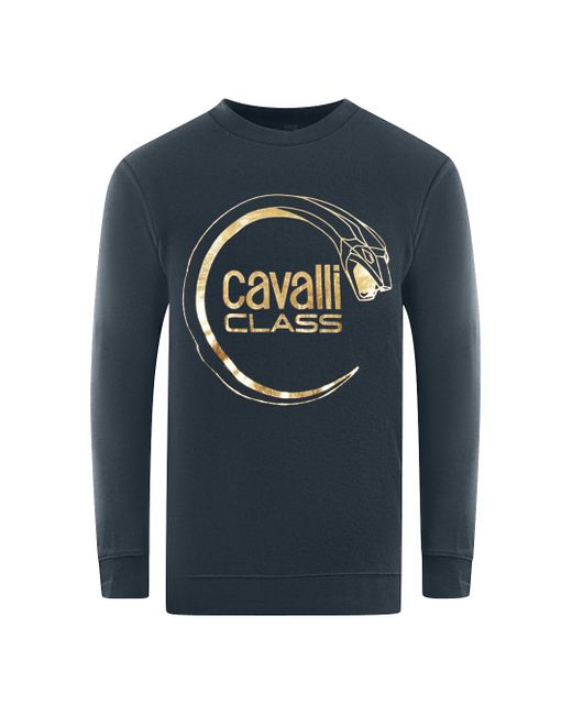 Roberto Cavalli Blue Piercing Snake Logo Sweatshirt Cotton for men