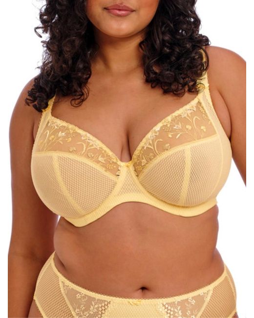 Elomi Brown Charley Side Support Plunge Bra