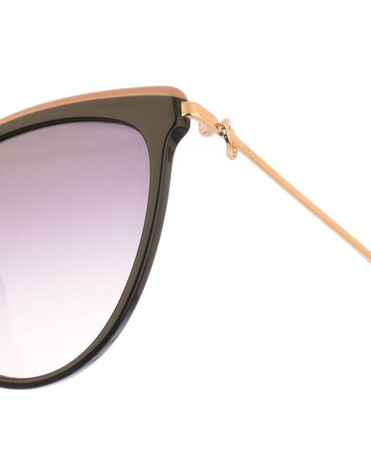 Longchamp Brown Sunglasses Lo675S