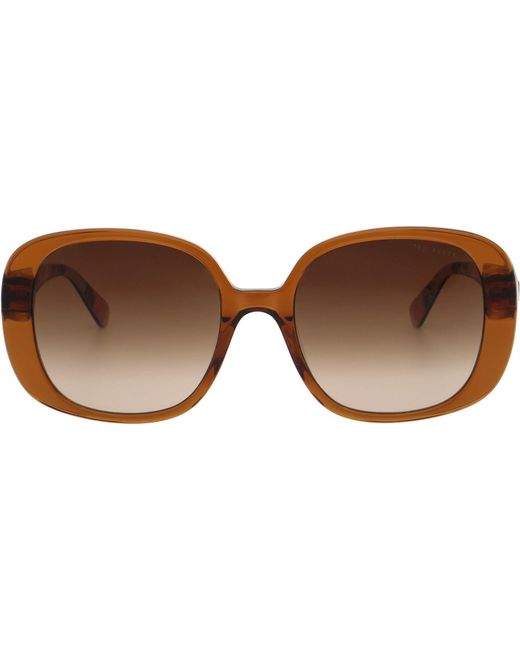 Ted Baker Brown Emilia Sunglasses for men