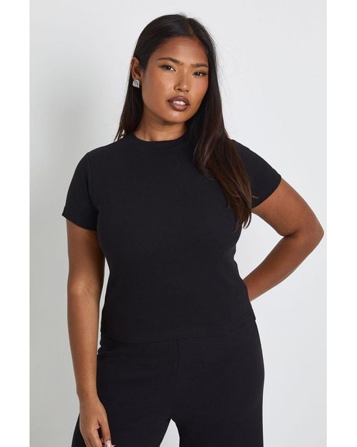Boohoo Black Plus Basic Rib Short Sleeve Longline Fitted Top