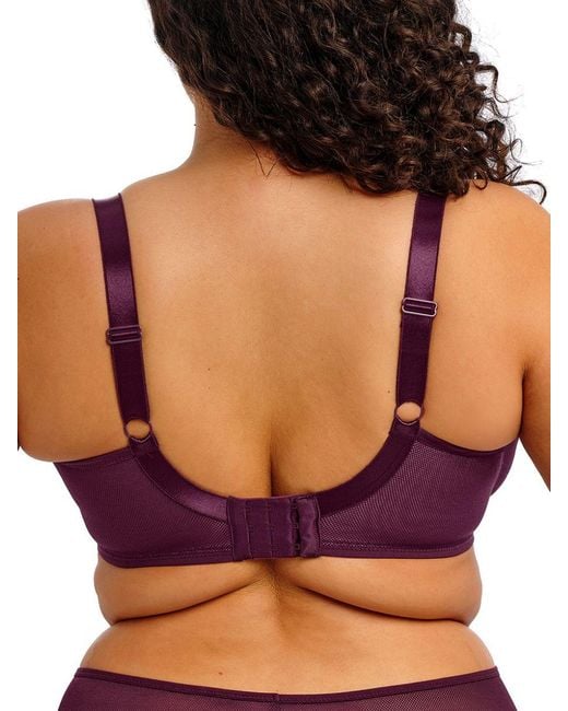 Elomi Purple Kintai Underwired Plunge Bra Blackberry