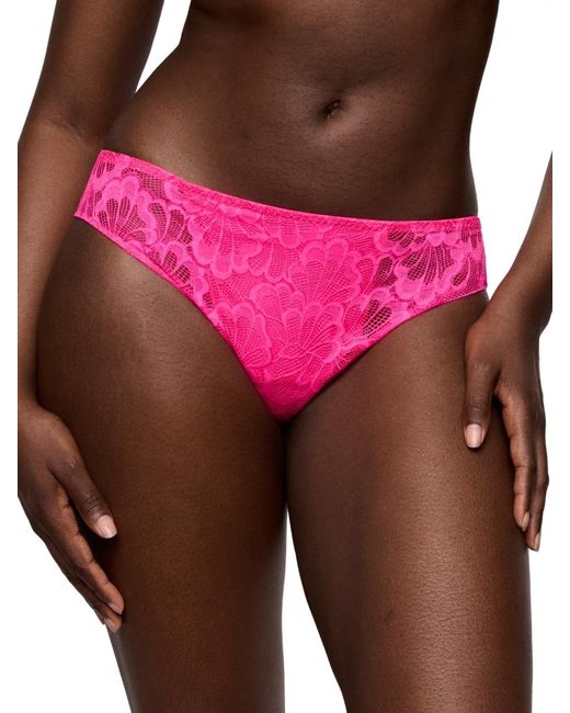 Primadonna Pink Mocuto Rio Brief Pixie Blossom