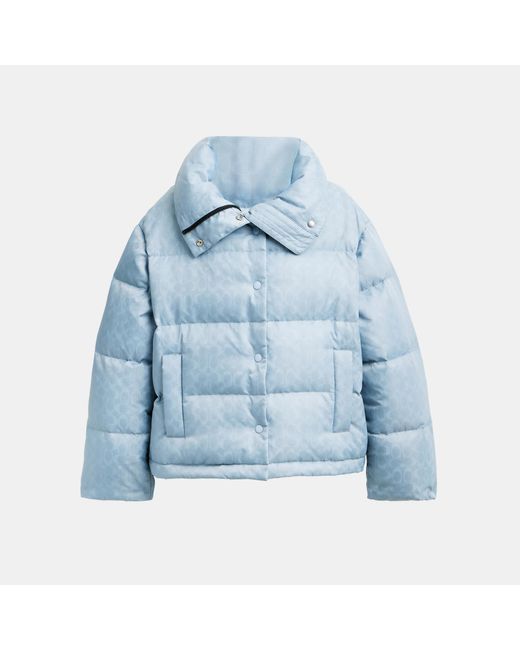 COACH Blue Signature Jacquard Short Puffer