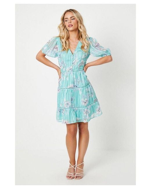 Oasis Blue Floral Burnout Chiffon Stripe Trim Mini Dress