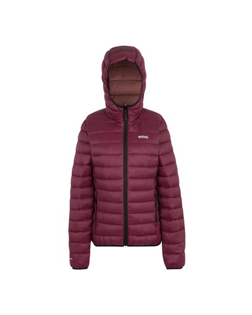 Regatta Purple Ladies Marizion Hooded Padded Jacket (Dark Pimento)