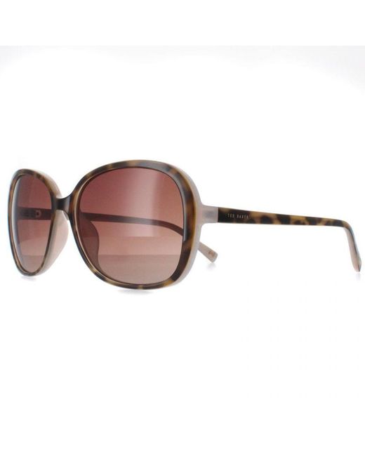 Ted Baker Brown Butterfly Tortoise Tb1603 Rios