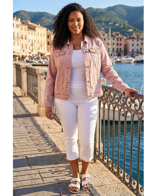 Roman Blue Curve Cotton Denim Jacket