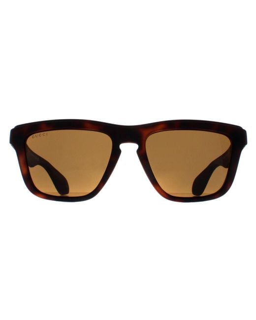 Gucci Brown Sunglasses