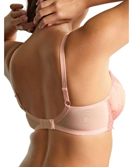 Panache Brown Ana Plunge Bra Polyamide