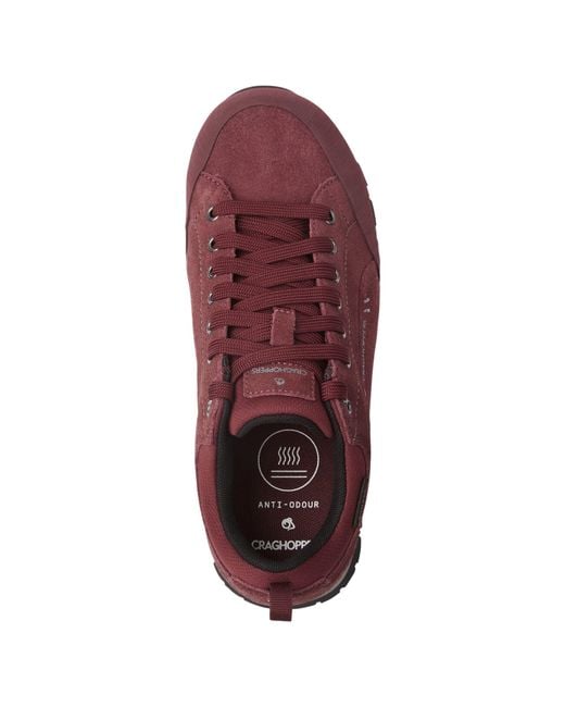 Craghoppers Red Jacara 2 Leather Trainers (Wildberry)