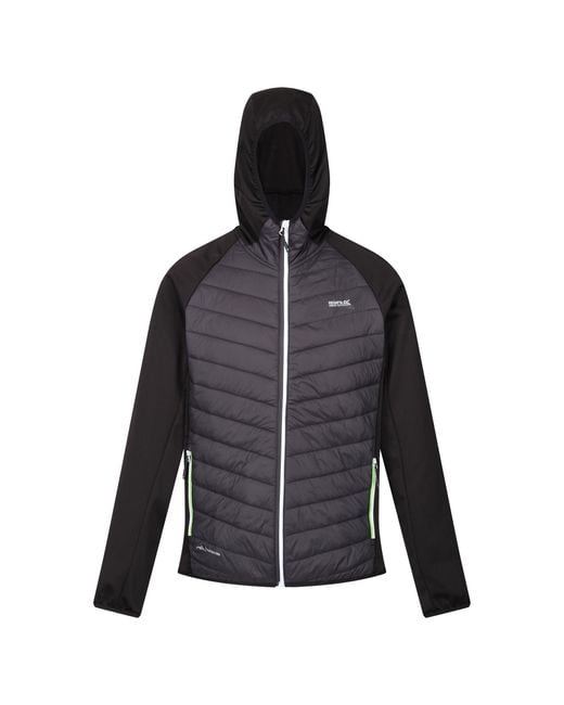 Regatta Gray Andreson Viii Hybrid Jacket (Ash/ for men