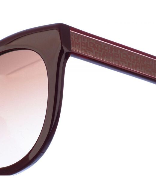 Longchamp Brown Sunglasses Lo698S