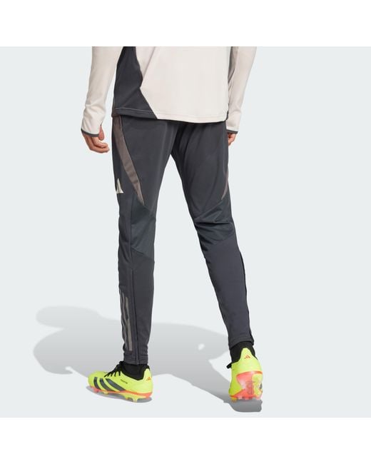 Adidas Originals Blue Real Madrid Tiro 24 Competition Training Pants for men