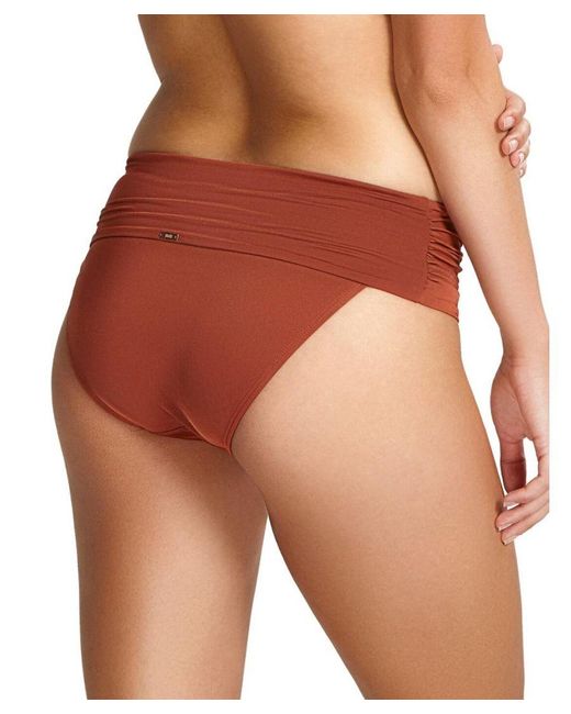 Panache Purple Marina Fold Bikini Brief
