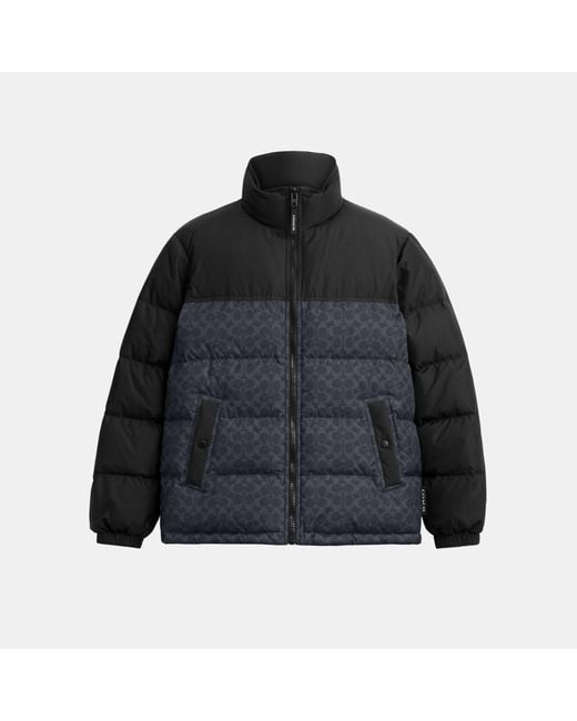 COACH Black Signature Down Jacket for men