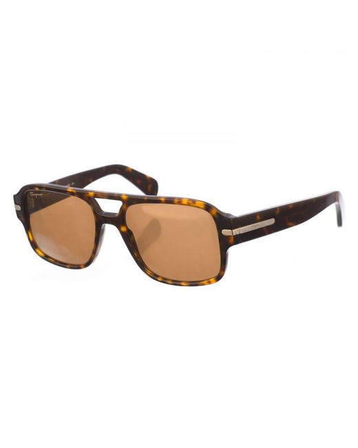 Ferragamo Brown Square Shaped Acetate Sunglasses Sf1038S