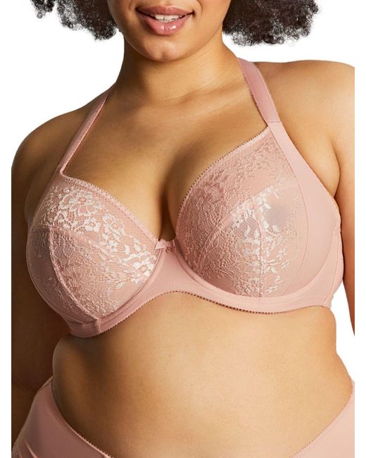 Panache Brown Roxie Plunge Bra