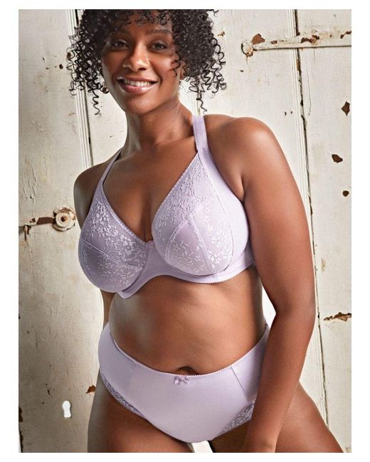 Panache Purple Roxie High Waist Brief
