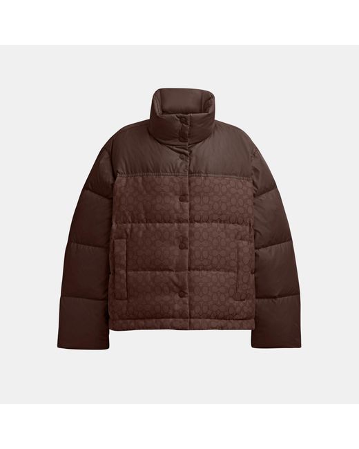 COACH Brown Signature Down Jacket