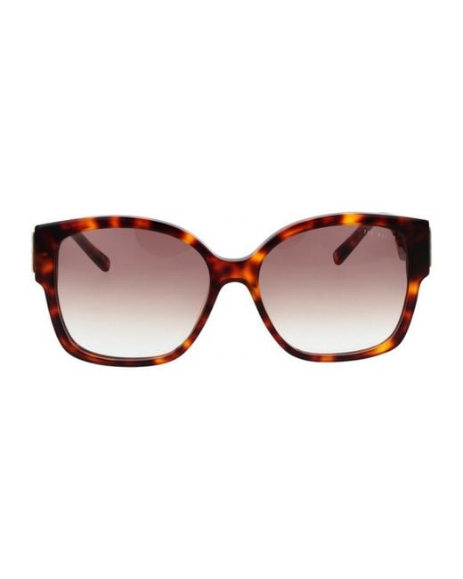 Ted Baker Brown Tb1767 56100 56 100 Sunglasses