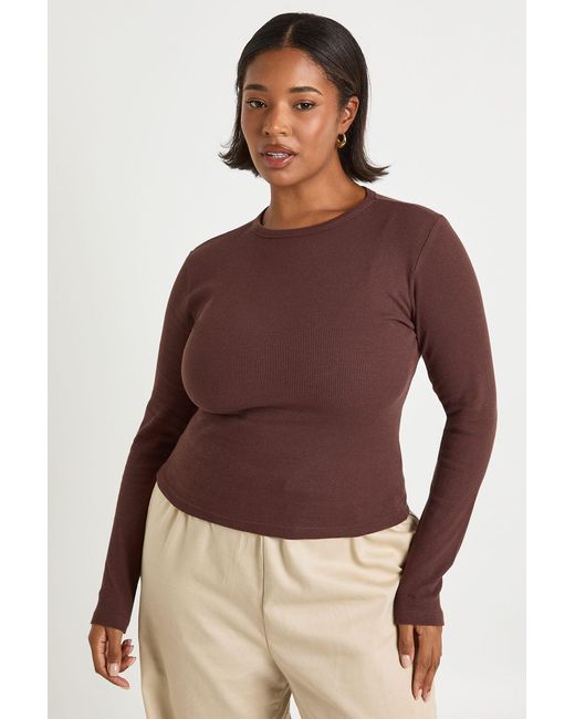 Boohoo Purple Plus Basic Rib Long Sleeve Fitted Longline Top