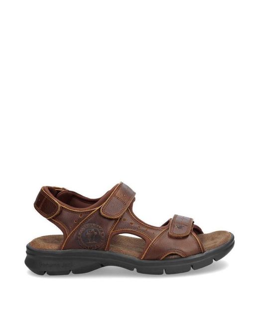 Panama Jack Brown Salton Basics C4 Leather Sandals for men