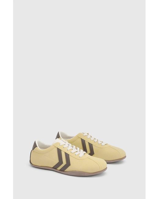 Oasis Natural Riley Faux Suede Contrast Lace Up Trainers