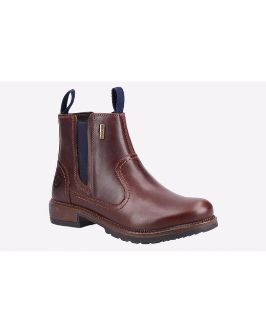 Cotswold Brown Laverton Memory Foam Boot
