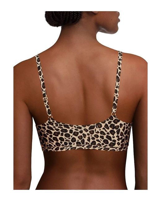 Chantelle Brown Softstretch Padded Bralette