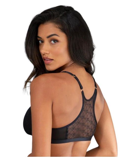 Pour Moi Blue Logo Mania Bralette Bra