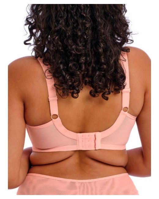 Elomi Pink Kendra Plunge Bra