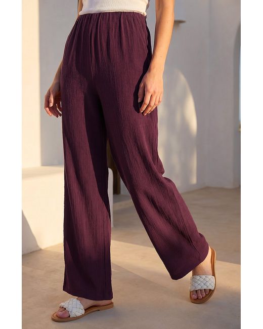 Roman Purple Petite Textured Trouser
