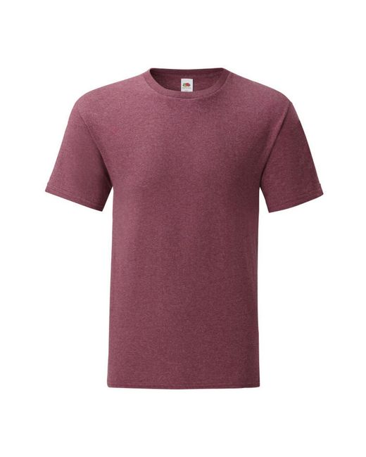 Fruit Of The Loom Purple Iconic 150 T-Shirt (Burgundy Heather) for men
