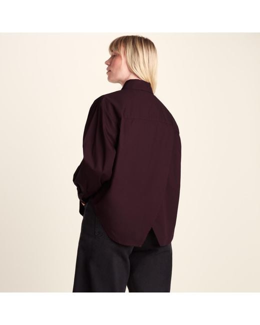 TOG24 Black Marnie 100% Cotton Oversized Shirt