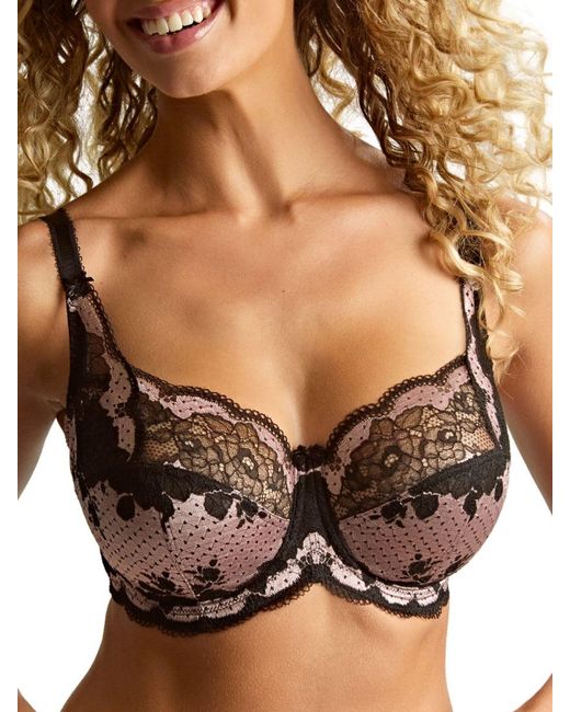 Panache Brown Clara Full Cup Bra