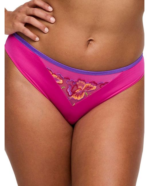 Primadonna Purple Devdaha Rio Brief Very Berry