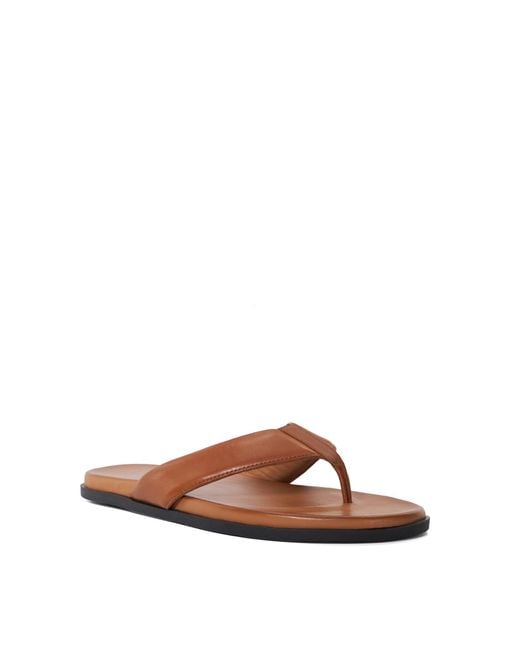Dune Brown Inspires for men