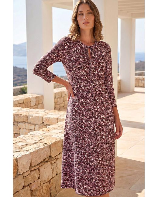 Roman Brown Petite Paisley Tie Neck Dress