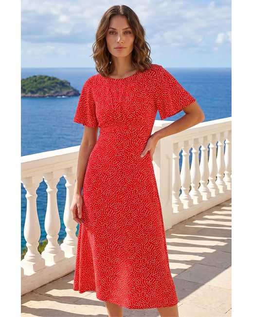 Roman Red Petite Polka Dot Midi Dress
