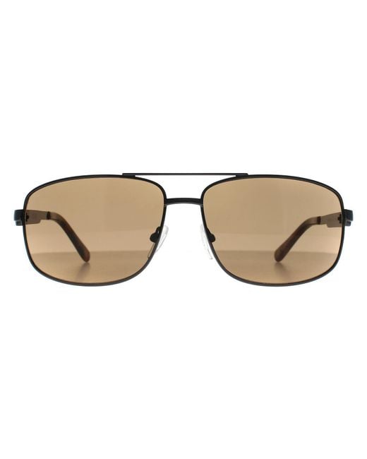 Calvin Klein Brown Rectangle Ruthenium Ck22123S for men