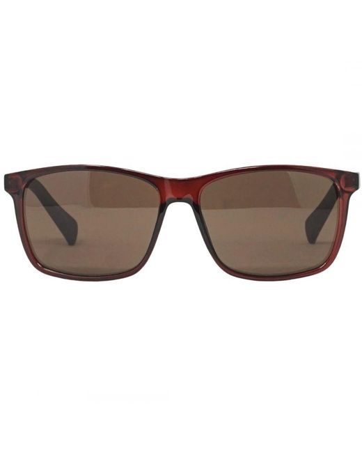 Calvin Klein Brown Ck19568S 601 Sunglasses for men