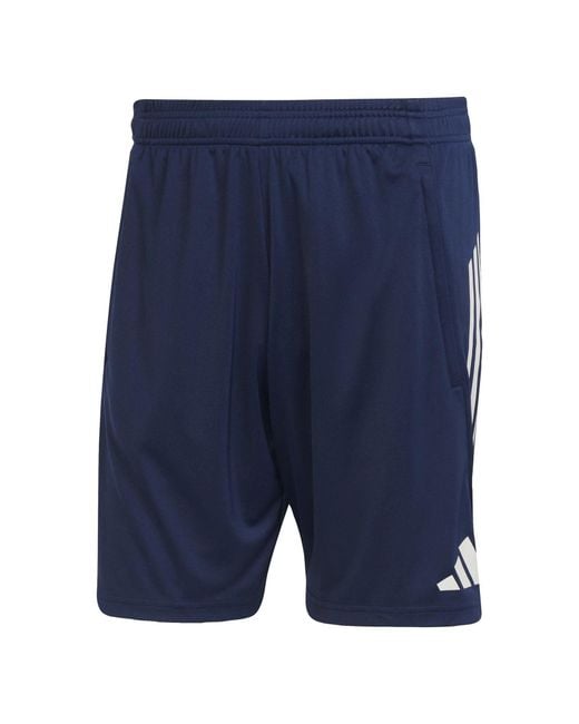 Adidas Blue Training Shorts 2025 2026 for men