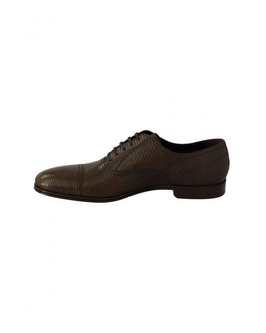 Dolce & Gabbana Brown Lizard Leather Dress Oxford Shoes for men