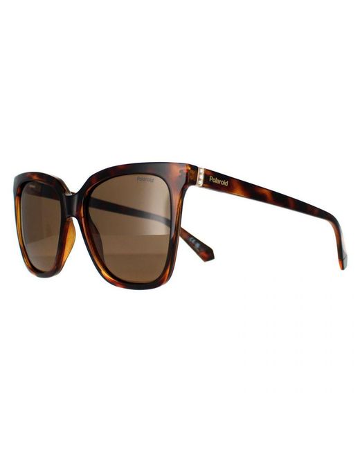 Polaroid Brown Square Havana Bronze Polarized Pld 4155/S/X