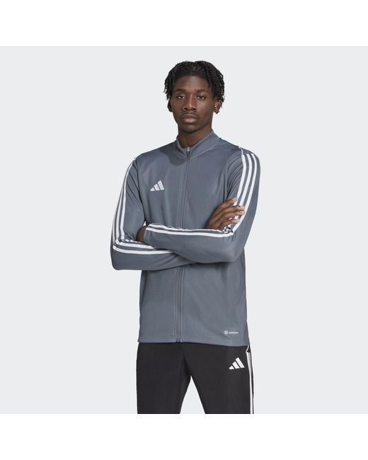 Adidas Originals Blue Tiro 23 League Training Jacket for men