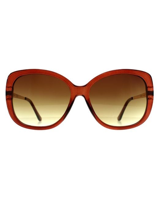 Calvin Klein Brown Butterfly Transparent Gradient Ck22548S