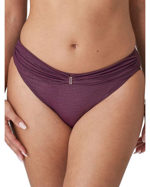 Primadonna Purple Rio Bikini Brief